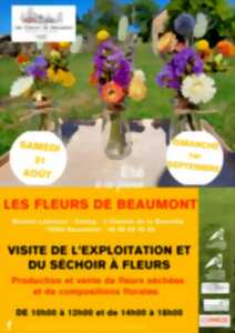 Eté à la Ferme : Les Fleurs de Beaumont