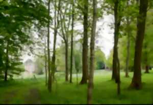 Animation Nature - Nos Amis les Arbres - Limoges