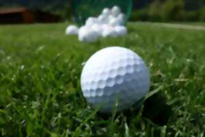 photo Apprenti Tea Golf Croquet