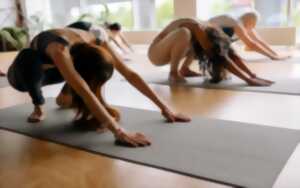 photo Les Mardis de Cap 33 : Les séances d'approfondissement : Yoga