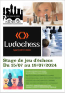 photo Stage de jeu d'échecs à Niort