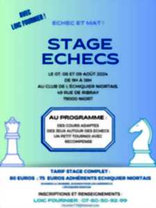 photo Stage d'échecs avec Loic Fournier à Niort
