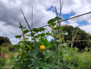 photo Initiez-vous à la permaculture à St-Laurent-les-Eglises