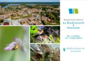 photo Exposition sur la biodiversité