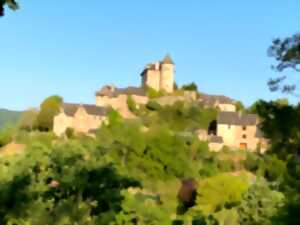 photo Exposition : il y a 80 ans la colonne das Reich martyrisait l'Aveyron