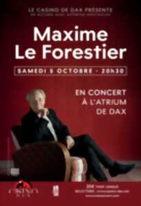 photo Maxime le Forestier en concert