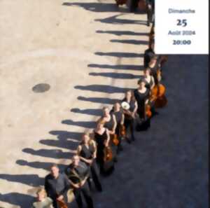 photo Sinfonia : Concertos Brandbourgeois
