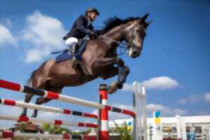 photo Concours hippique saut d'obstacles