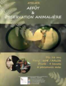 photo Stage d'Affûts et observation animalière