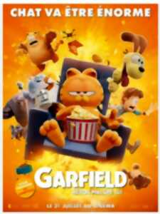 photo Cinéma Laruns : Garfield : Héros malgré lui