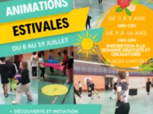 photo SPORT - ANIMATIONS ESTIVALES - VOLLEY-BALL