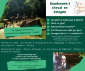 Randonnée à cheval en Sologne