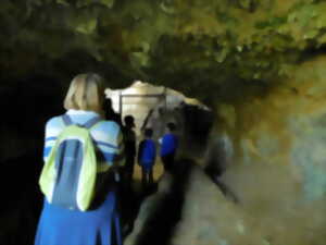 photo Soirée spectacle à la grotte