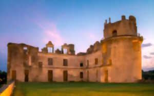 Repas animé au château