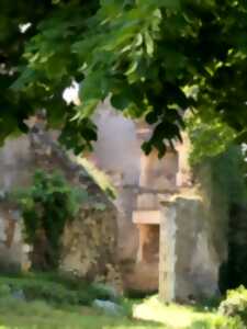 photo Journées Européennes du Patrimoine au Château de Marmande