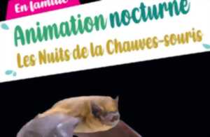 photo Animation nocturne, les nuits de la chauve souris