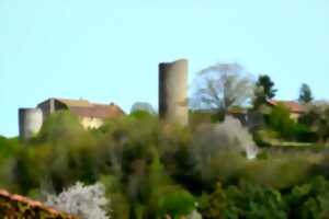 Visite guidée de Châlus et histoire des deux châteaux + dégustation