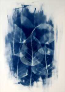 photo EXPOSITION - CYANOTYPE