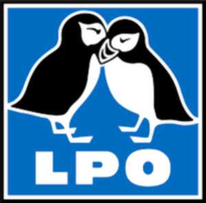 photo Animation de la LPO : Brame du cerf