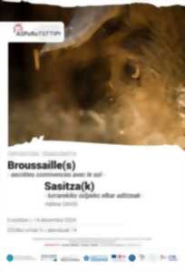 photo Exposition - Broussaille(s) - Secrètes connivences avec le sol