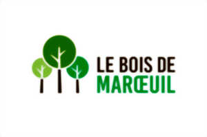 photo Le bois de Maroeuil – La mare et ses habitants