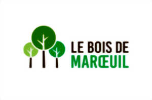 Le bois de Maroeuil – Le lutin du bois de Maroeuil