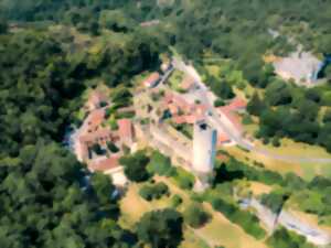 photo Journées européennes du patrimoine - Château de Gavaudun