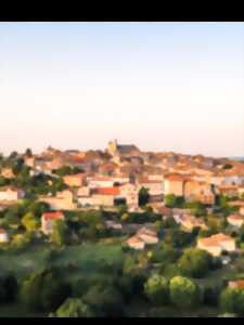 Journées Européennes du Patrimoine - Visite guidée en anglais de la bastide de Monflanquin