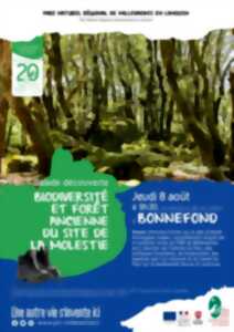 photo Biodiversité et forêt ancienne au site de La Molestie