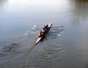 Initiation à l'aviron