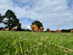 photo Visite de la ferme La Vallée des Vaches