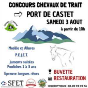 Concours de chevaux de trait