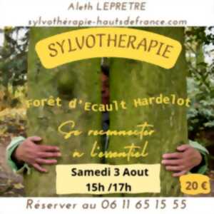 Sylvothérapie - Forêt d'Ecault Hardelot