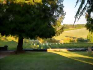 Les déjeuners sur l'herbe, brunch !