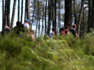 photo Festi-rando