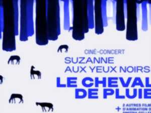 photo Cheval de pluie – ciné concert