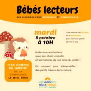 Bébés leccteurs