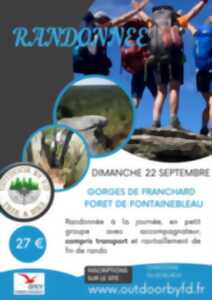 photo Randonnée dans les gorges de Franchard à Fontainebleau (départ en minibus de Jargeau)