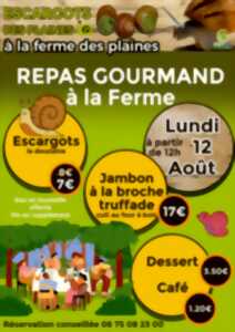 photo Repas gourmand à la ferme