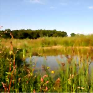 Rallye Nature crépusculaire au coeur de l'Espace Naturel Sensible de la Grimaudière