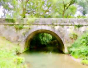 photo Visites commentées de Lasseube, village et campagne