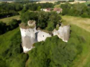 Visite des ruines du château de Bommiers