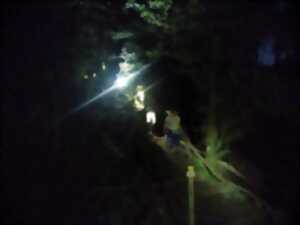 photo Randonnée nocturne dans les gorges de l'Auvézère