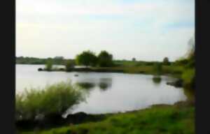 Jeu d'orientation au coeur de l'Espace Naturel Sensible du Lac du Cébron