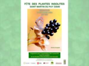 photo Foire des Plantes Insolites