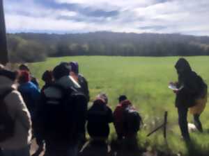 photo LES HABITANTS DE LA FORÊT DE PARLATGES