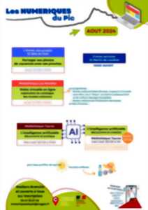 photo LES NUMÉRIQUES DU PIC - AOÛT