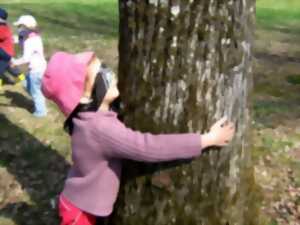 AUPRÈS DE MON ARBRE...