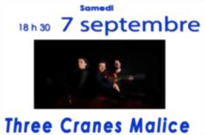 photo Concert de Three Cranes Malice