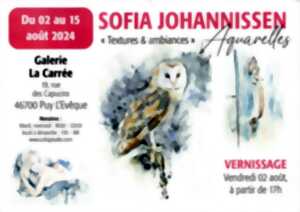 Exposition à la galerie La Carrée : Sofia Johannissen